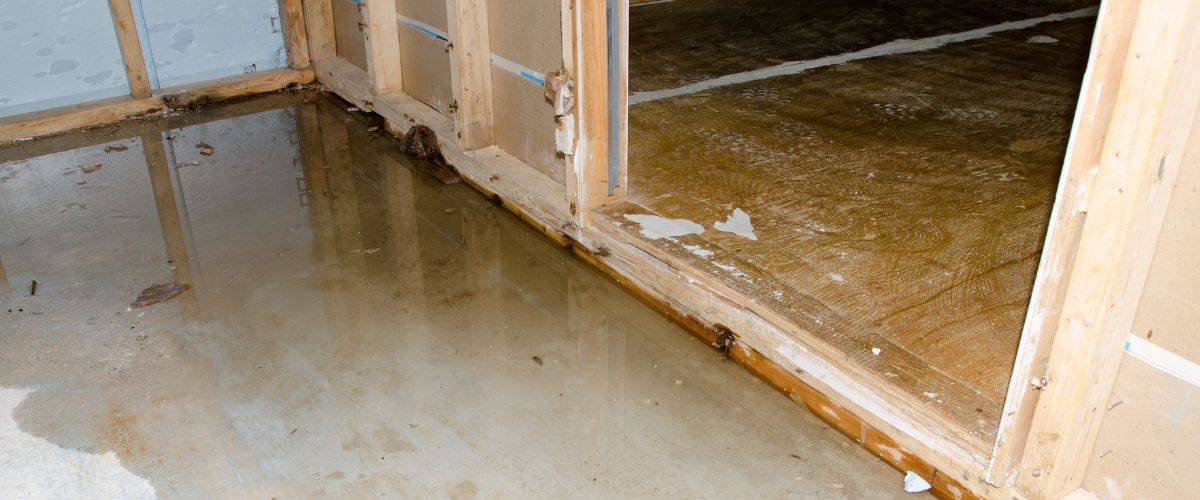 Water Damage Restoration - Hampton Roads - Williamsburg - Hampton - Newport News - Norfolk - Virginia Beach - Northern Virginia Fredericksburg VA - Fairfax VA - Arlington VA - Alexandria VA